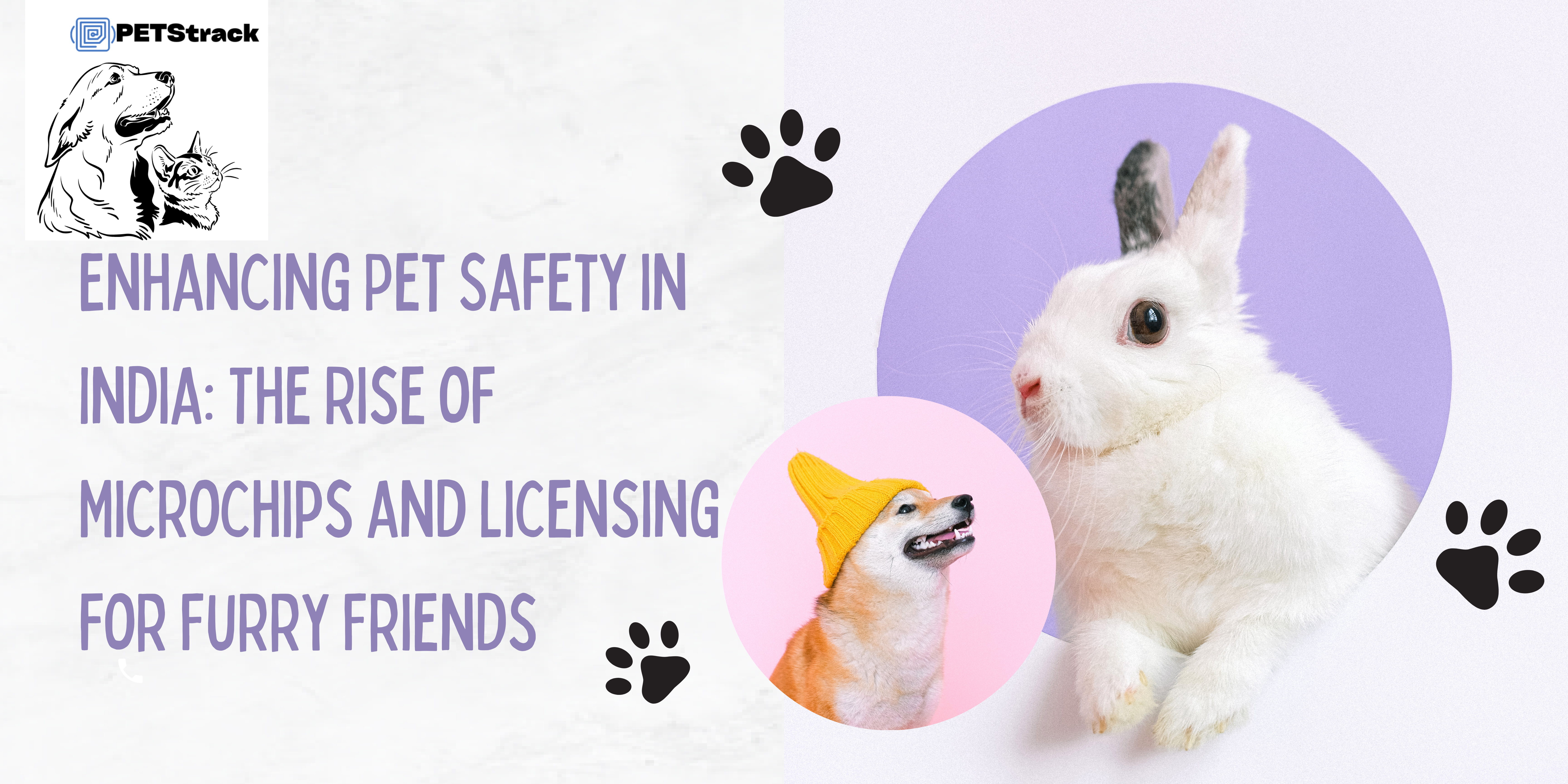 enhancing-pet-safety-in-india-the-rise-of-microchips-and-licensing-for-furry-friends