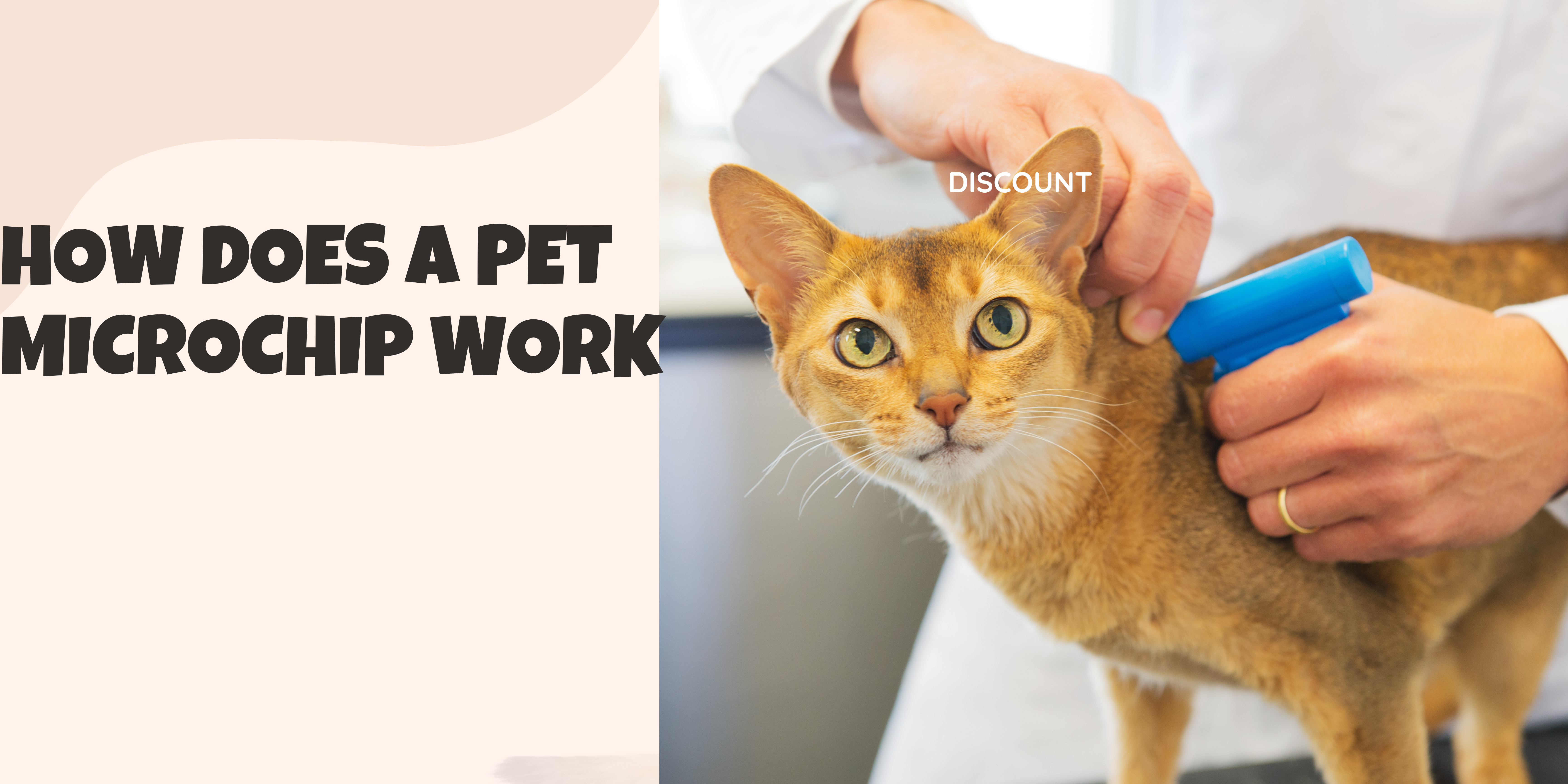 how-does-a-pet-microchip-work