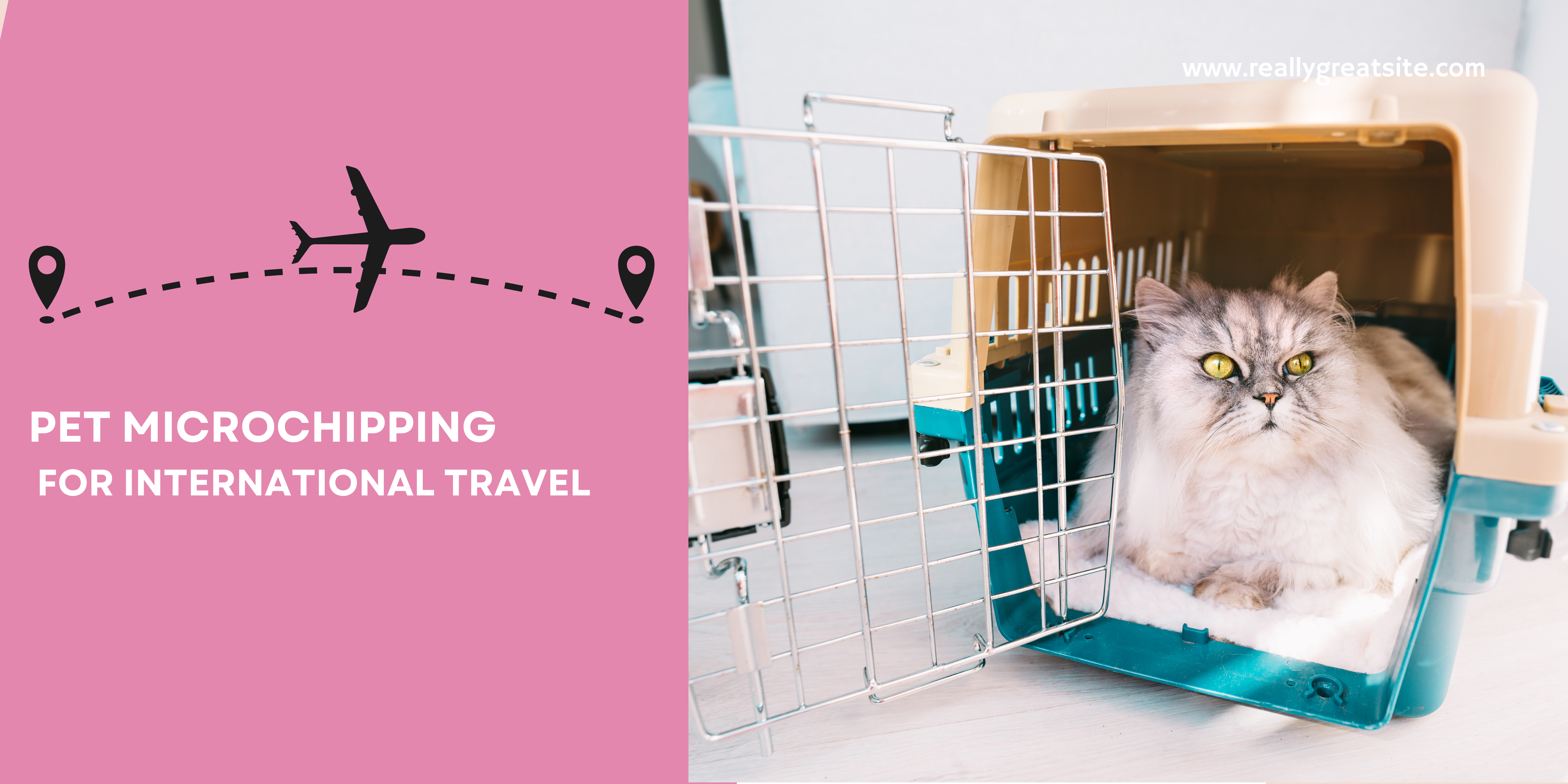 the-importance-of-microchipping-your-pet-for-international-travel
