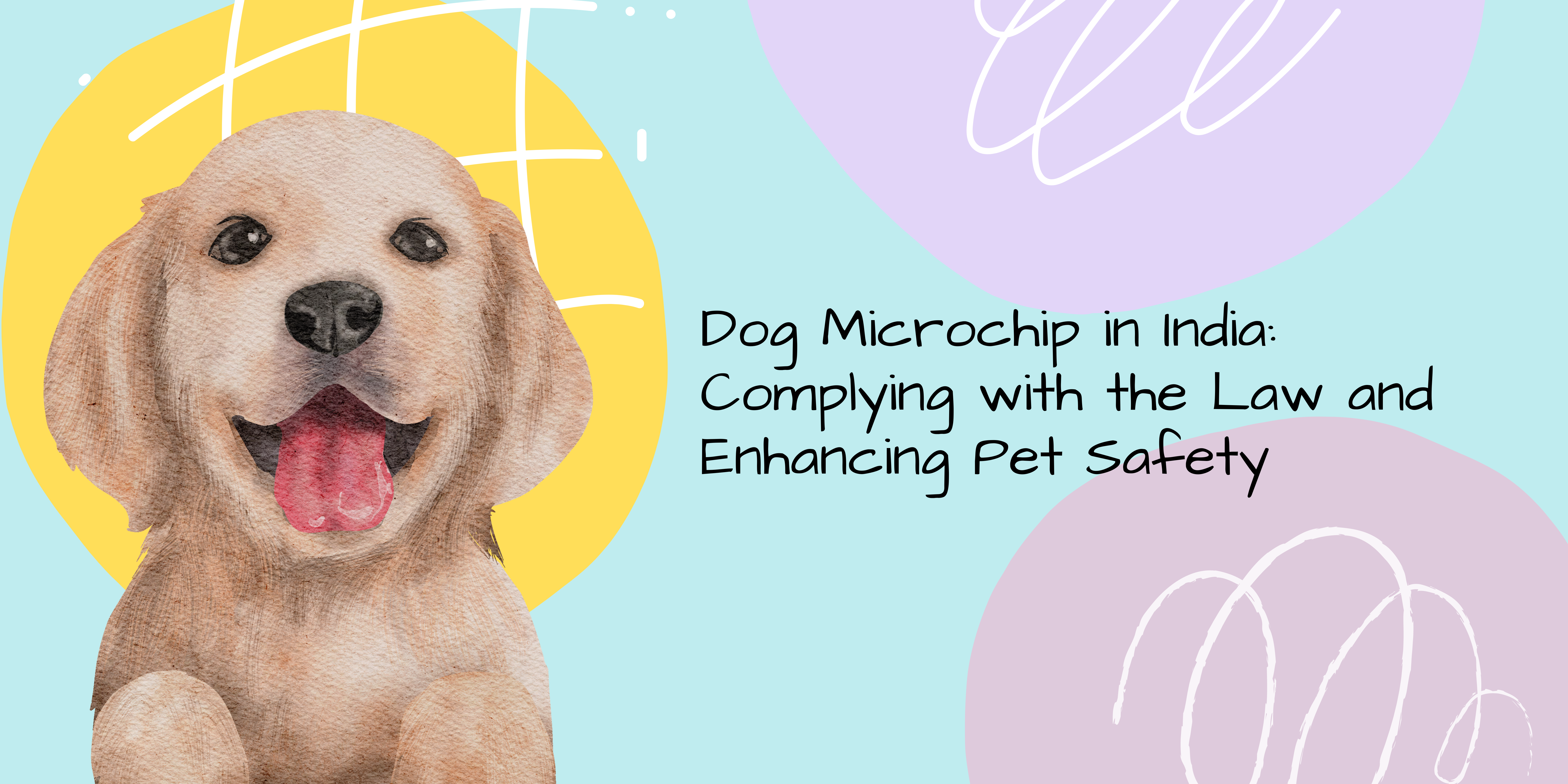 dog-microchip-in-india-complying-with-the-law-and-enhancing-pet-safety